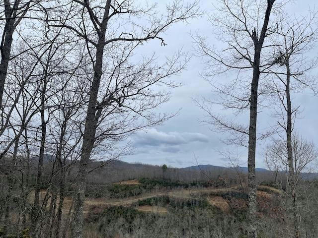 LOT 37 MYSTIC FOREST WAY, TOPTON, NC 28781, photo 1 of 14