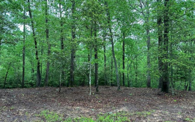 LOT 6 BRASSTOWN TRAILS, WARNE, NC 28909, photo 3 of 20