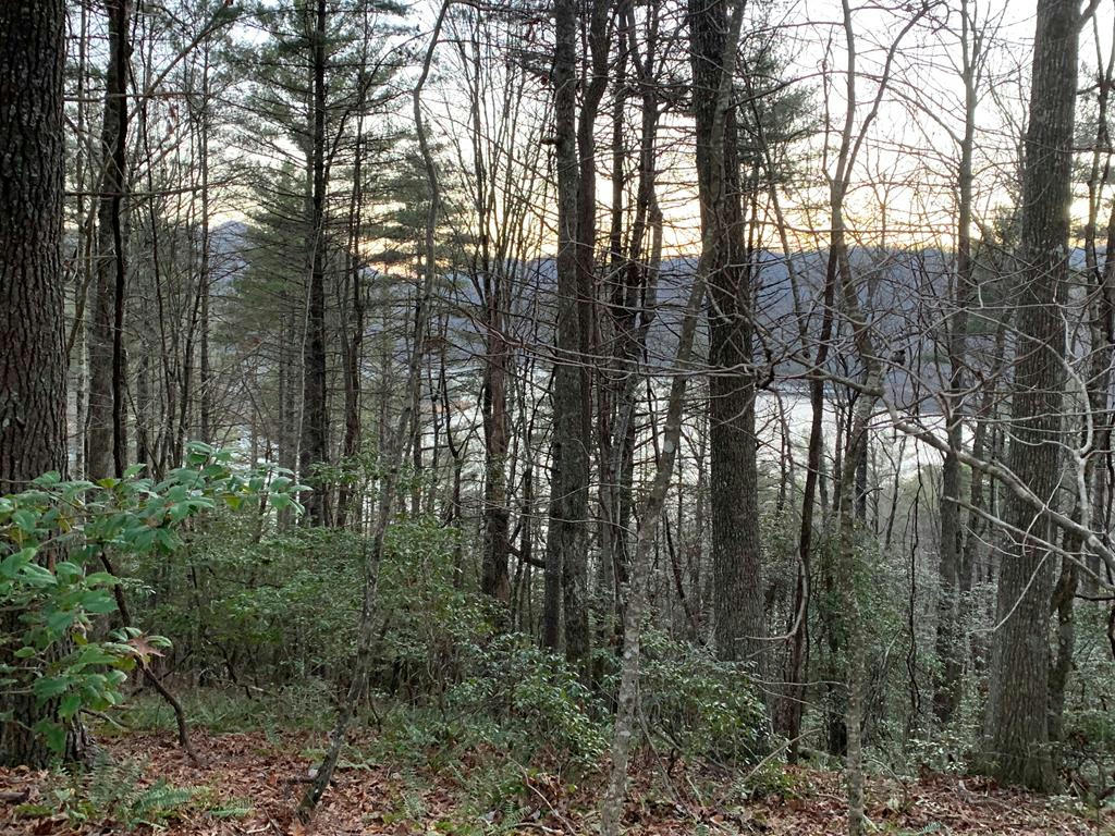 TBD LAKESHORE DRIVE, NANTAHALA, NC 28781, photo 1 of 5