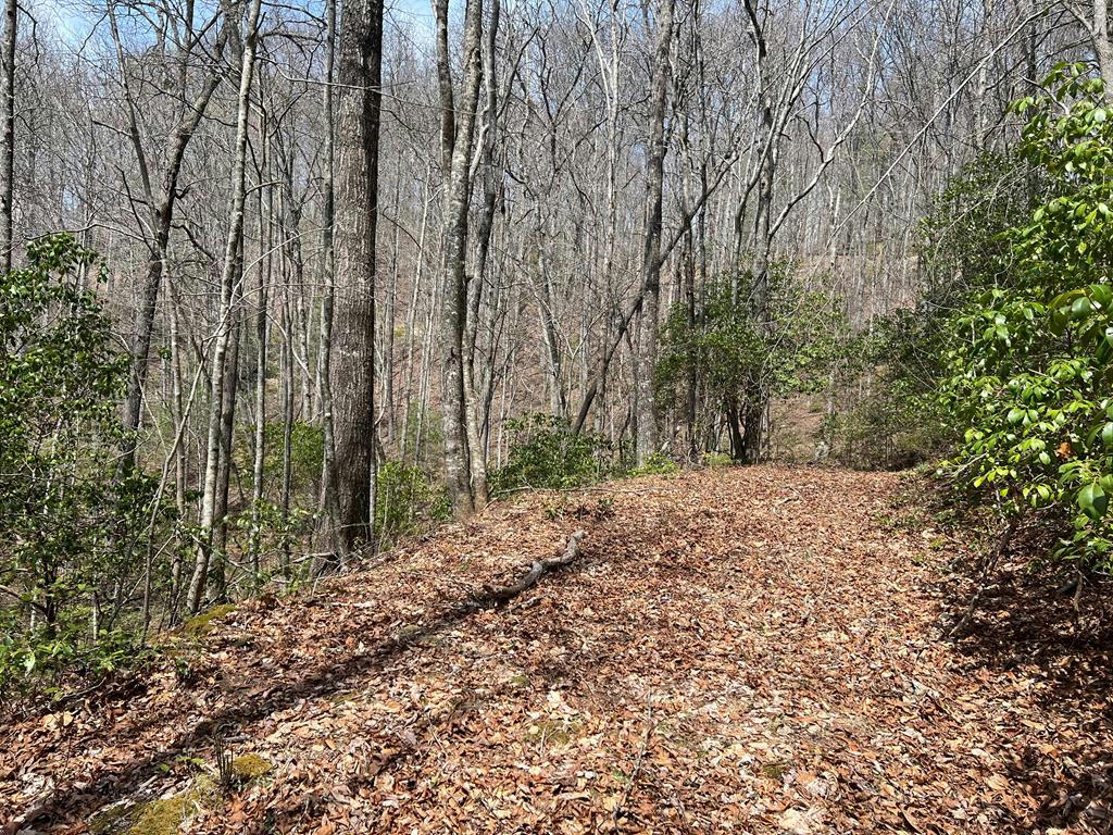 00 WHISPERING SPRINGS LANE, NANTAHALA, NC 28781, photo 1 of 7