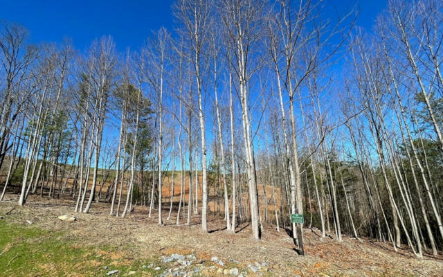 LOT 155 THE SANCTUARY AT VANCE MOUNTAIN, MURPHY, NC 28906, photo 5 of 32
