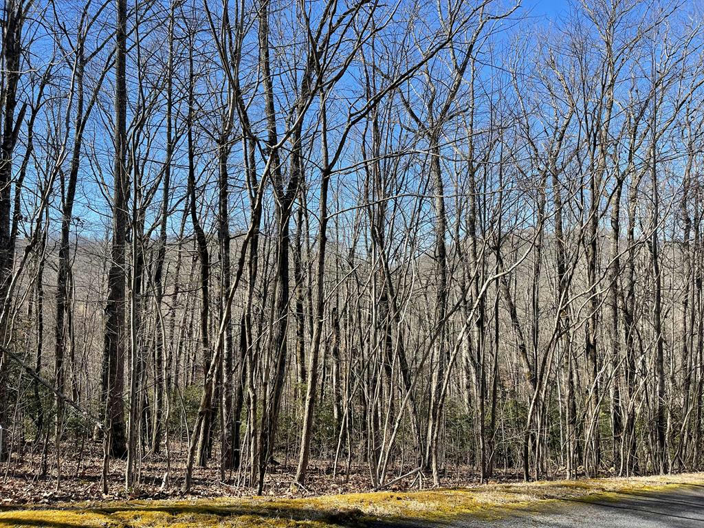 LOT 34J ASH BRANCH ROAD, HAYESVILLE, NC 28904, photo 1 of 6