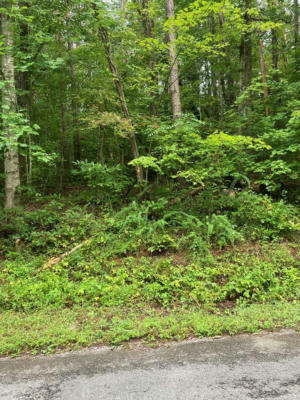 00 LAUREL DRIVE, TURTLETOWN, TN 37391 - Image 1