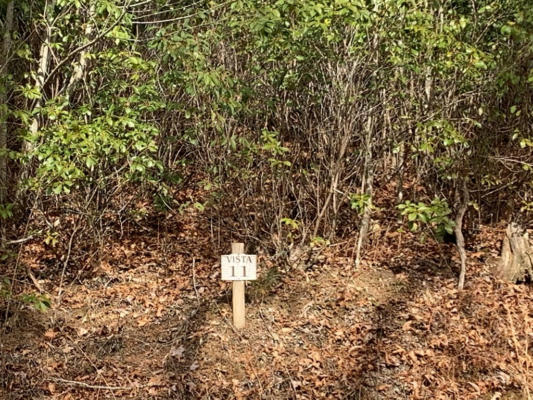 TBD FOREST VISTA LANE, NANTAHALA, NC 28781, photo 2 of 5