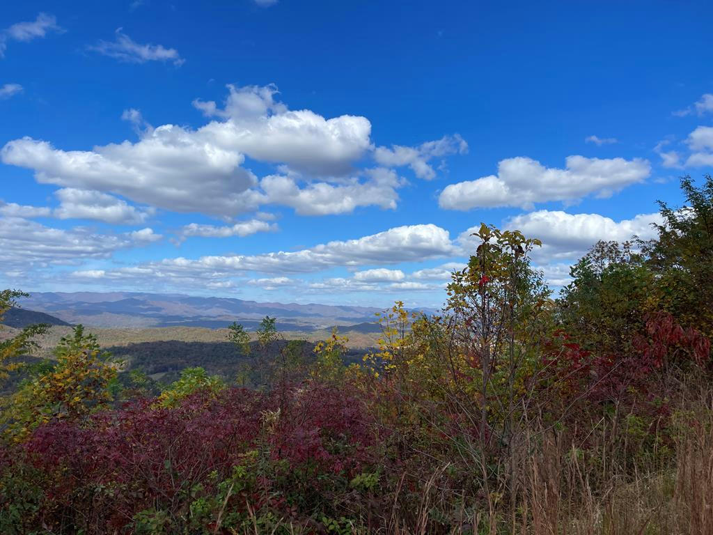 0 BRASSTOWN HEIGHTS, BRASSTOWN, NC 28902, photo 1 of 9