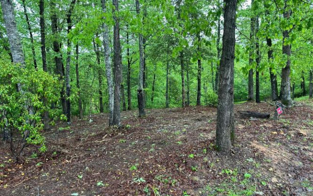 LOT 7 BRASSTOWN TRAILS, WARNE, NC 28909, photo 2 of 20