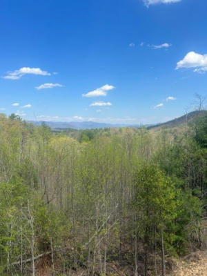 711 POINT OVERLOOK TRAIL, MURPHY, NC 28906, photo 2 of 5