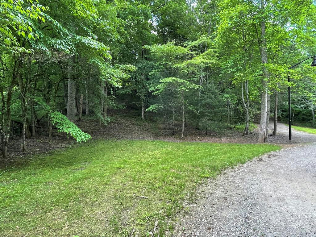 00 COLLETT WOODS TRAIL, ANDREWS, NC 28901, photo 1 of 4