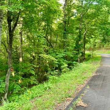 9 WILDFLOWER RDG, WARNE, NC 28909, photo 2 of 13