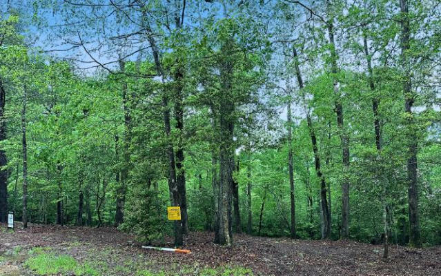 LOT 6 BRASSTOWN TRAILS, WARNE, NC 28909, photo 2 of 20