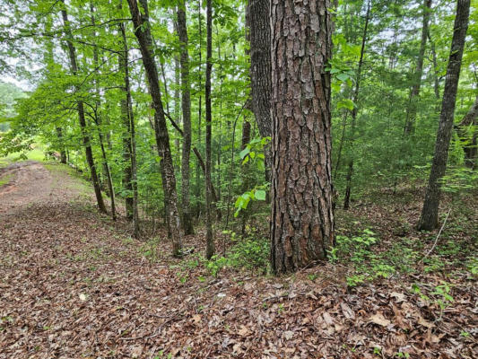 6 HEATHER LN, MURPHY, NC 28906, photo 2 of 11