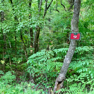 9 WILDFLOWER RDG, WARNE, NC 28909, photo 3 of 13