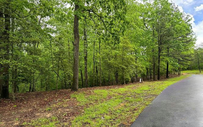 LOT 6 BRASSTOWN TRAILS, WARNE, NC 28909, photo 1 of 20