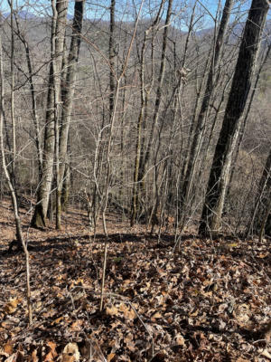 LOT 68J GRANDVIEW DR., HAYESVILLE, NC 28904, photo 4 of 5