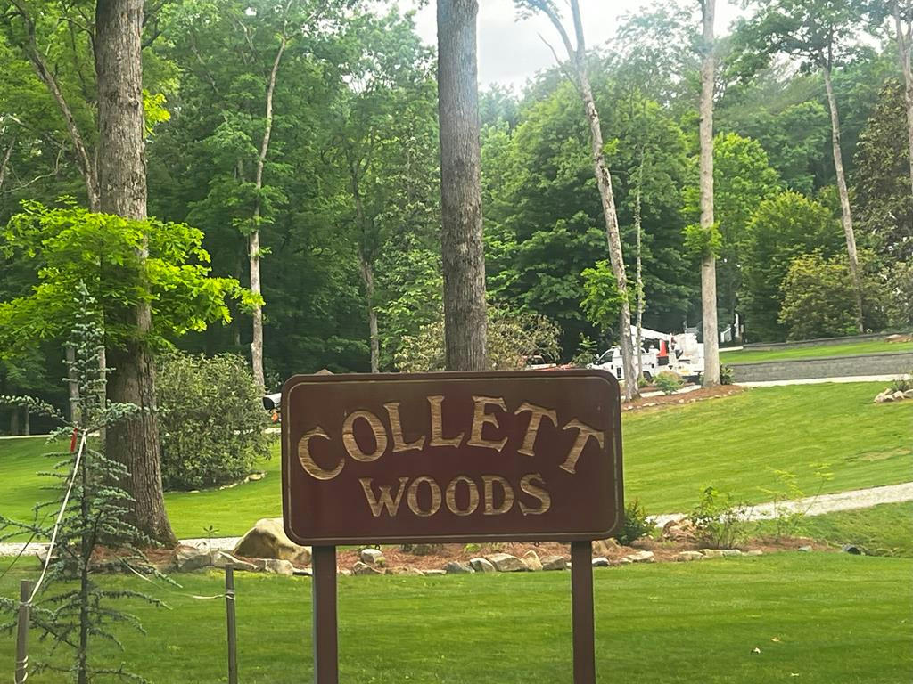 TBD WOOD COLLETT COVE, ANDREWS, NC 28901, photo 1 of 5